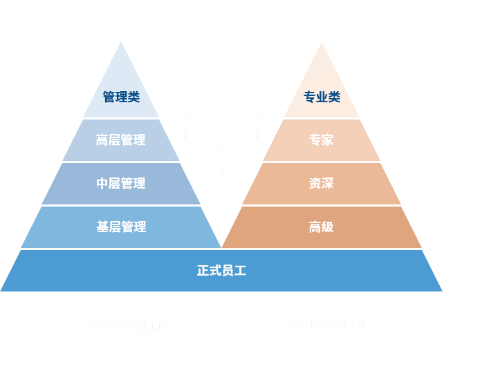 3777金沙娱场城 